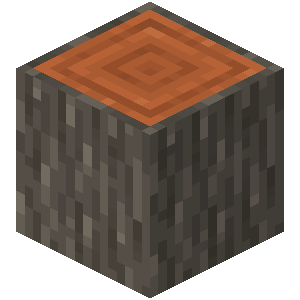 Akazienstamm